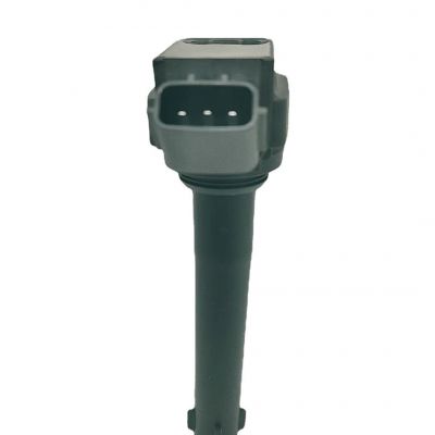 跨境汽车点火线圈 1026090GG020 F01R00A047图2