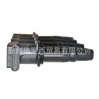 点火线圈 1208086 1208098 28326927 55561655 55584404 96476983图2