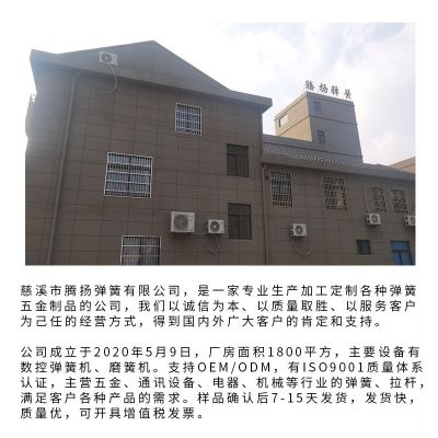 厂家批发灯具弹簧 各型号不锈钢触摸灯弹簧 异形拉伸压缩弹簧图5