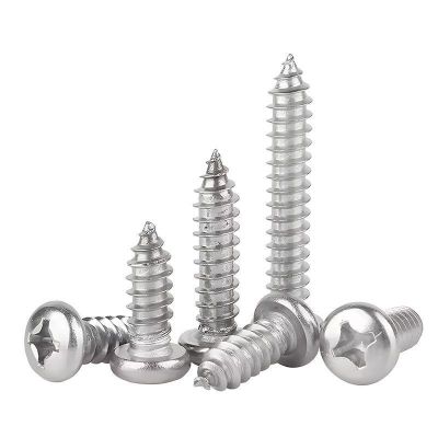 304不锈钢圆头十字槽自攻螺丝钉大全耐锈尖尾自贡螺丝钉m3 m4m5m6图4