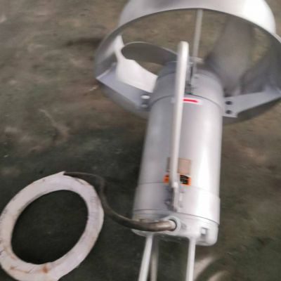 QJB10/12-620/3-480S潜水搅拌机出厂检验报告图2