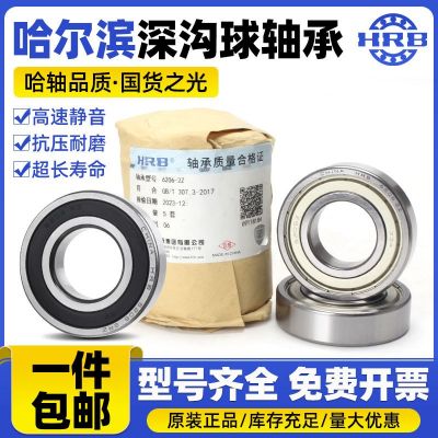 HRB 哈尔滨轴承 61900 61901 61902 61903 61904 - ZZ 2RZ图4