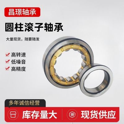 圆柱滚子轴承 NJ303 NJ304 NJ305 NJ306 NJ307 NJ308 NJ310EM铜保图2