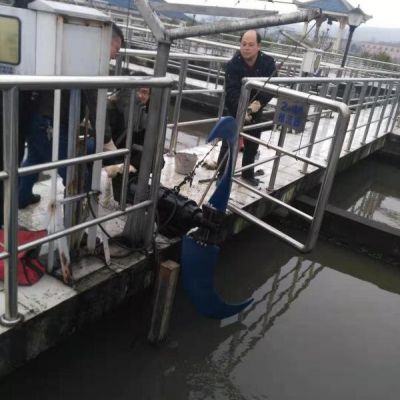  低速潜水推流器QJB7.5/4-2500/2-38/B图2