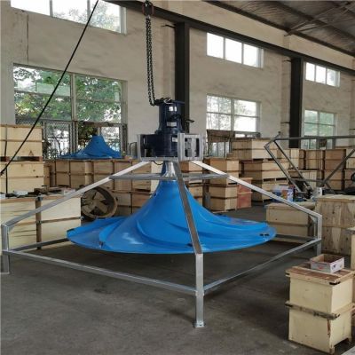 双曲面搅拌机规格型号 潜水式安装双曲面搅拌机图1