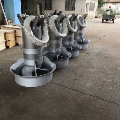 潜水搅拌机QJB5/12-620/3-480出厂报告图5
