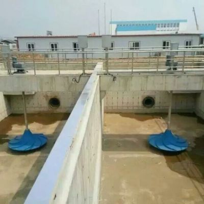 反应池双曲面搅拌器GSJ-2500型技术说明图5