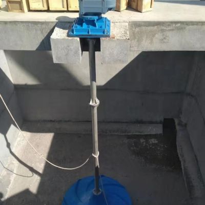 立式涡轮搅拌器 叶轮304不锈钢 质保两年图4