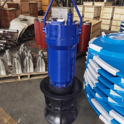 SJQB-2500潜水式安装双曲面搅拌机示意图图5