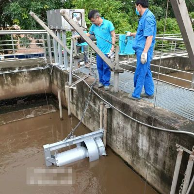 QJB-W4螺旋桨水平回流泵工作原理图2