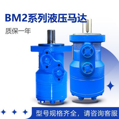 源头厂家摆线液压马达BMR BM2 OMR绞车液压马达低速大扭矩油马达图3
