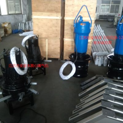 500ZQB-70潜水轴流泵安装示意图图3