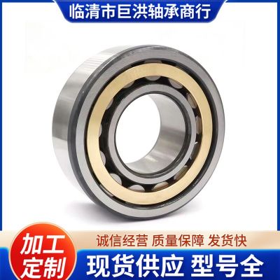 浙江天马轴承RN206MRN307RN312M228M RN328M摆线减速机 轴承TMB图2