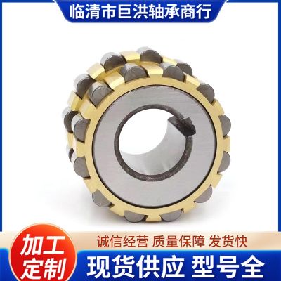 浙江天马轴承RN206MRN307RN312M228M RN328M摆线减速机 轴承TMB图3