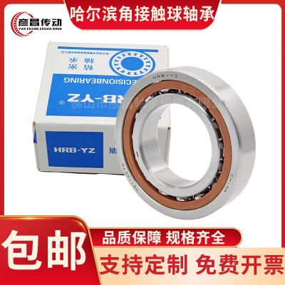 哈尔滨HRB轴承角接触球无油高精度直线轴承钢7303/7304/7310/7315图3