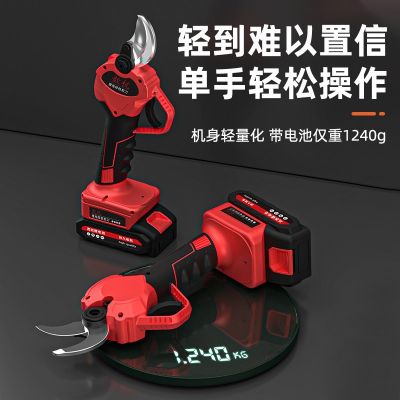 电动修枝剪便携式家用加高枝锂电果树剪充电式园艺园林电剪刀批发图4