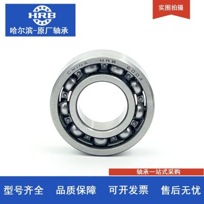 HRB哈尔滨轴承 6004 6005 6006 6007 2Z 2RZ 高速 原 厂正品图5