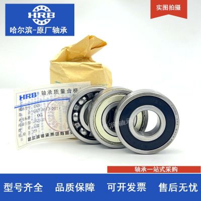 HRB 哈尔滨轴承 6304 6305 6306 6307 2Z 2RZ 高速 原厂正品图5