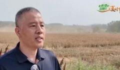 桃园来了机械“新农人” 助力绘就好“丰”景